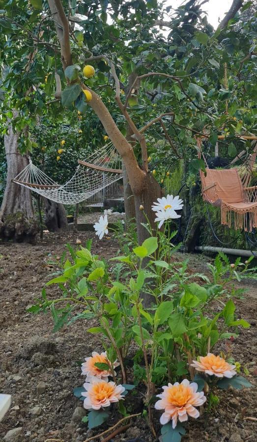 Rita Home B&B ซอร์เรนโต ภายนอก รูปภาพ